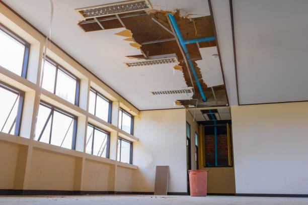 Best Water damage restoration near me  in Crothersville, IN