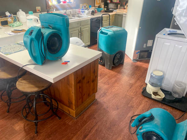 Best Water damage restoration near me  in Crothersville, IN