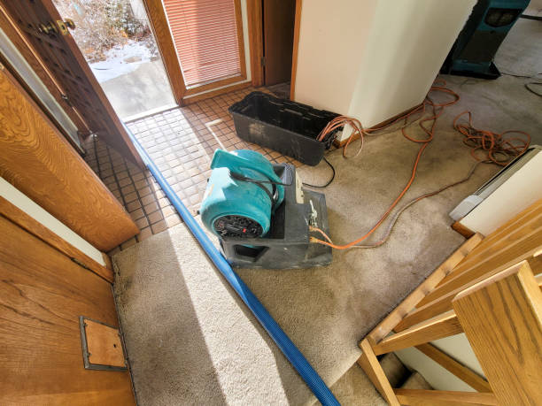 Best Flood restoration services  in Crothersville, IN