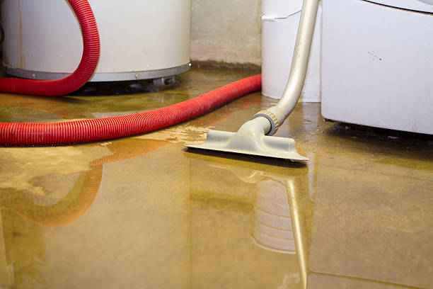 Best Carpet water damage restoration  in Crothersville, IN
