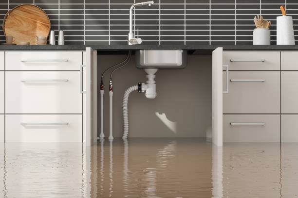 Best Water damage cleanup near me  in Crothersville, IN