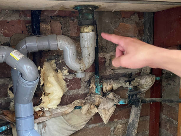 Best Residential water damage restoration  in Crothersville, IN